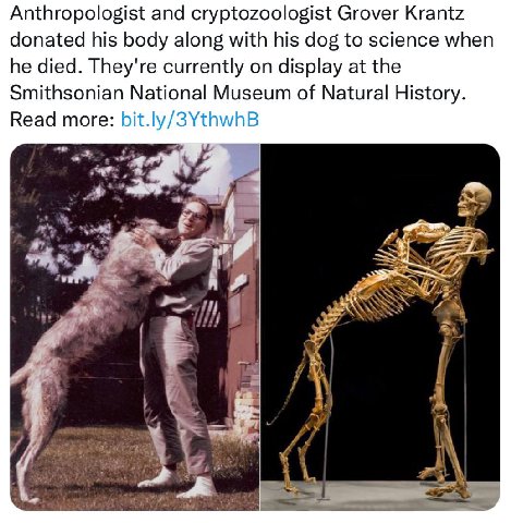 Anthropologist and cryptozoologist Grover Krantz donated his body along with his dog to science when he died. They're currently on display at the Smithsonian National Museum of Natural History. Read m