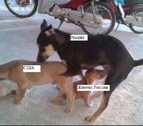 США России