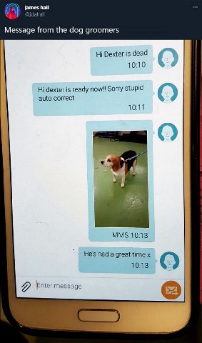 james hall Message from the dog groomers Dexter is dead 10:10 dexter is ready Sorry stupid auto correct 10:11 MMS 10:13 He's had a great time 10:13 Enter message