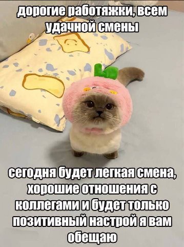 дорогие работяжки, всем Удачнойсмены сегодня будет легкая смена, хорошие отношения с коллегами и будет только позитивный настрой я вам обещаю