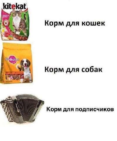 kitek Корм для кошек Корм для собак Корм для подписчиков a