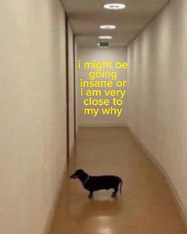 i might be insane or iam very close to my why