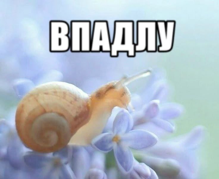 ВПАДЛУ a