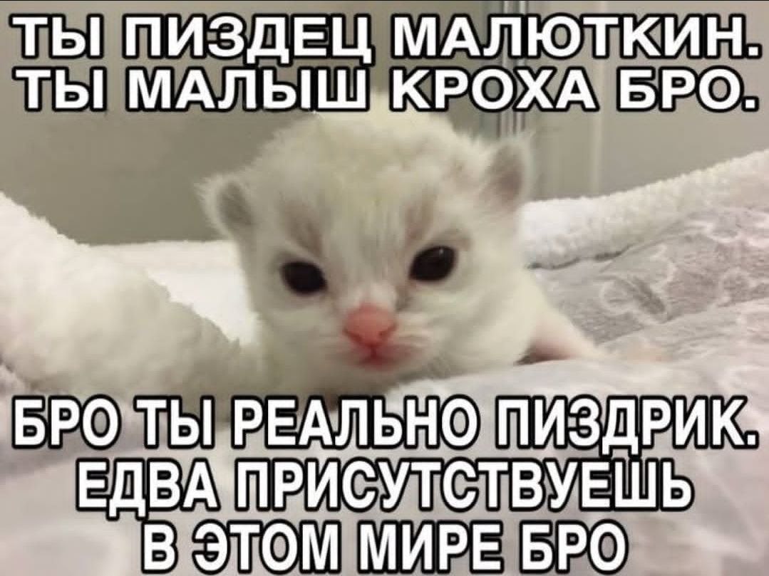 ТЫ ПИЗДЕЦ МАЛЮТКИН. ТЫ МАЛЫШ, КРОХА БРО. BPO ТЫ РЕАЛЬНО ПИЗДРИК» В ЭТОМ МИРЕ БРО