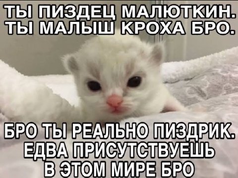 ТЫ ПИЗДЕЦ МАЛЮТКИН. ТЫ МАЛЫШ, КРОХА БРО. BPO ТЫ РЕАЛЬНО ПИЗДРИК» В ЭТОМ МИРЕ БРО