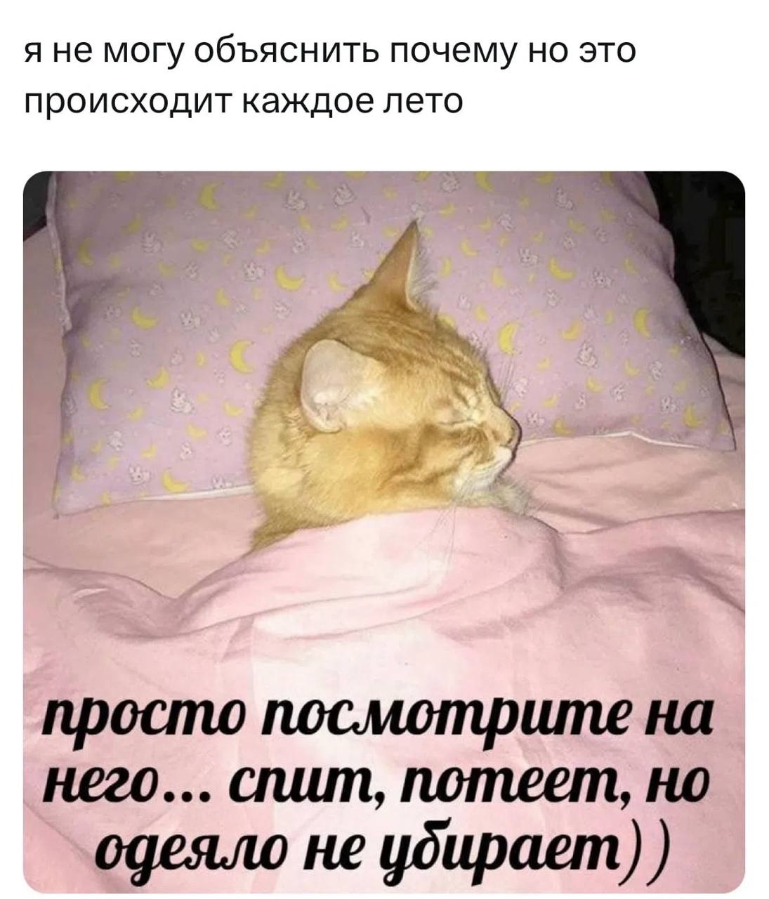 я не могу объяснить почему но это происходит каждое лето просто посмотрите на него... спит, потеет, но одеяло не убирает)