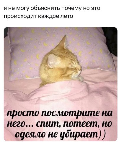 я не могу объяснить почему но это происходит каждое лето просто посмотрите на него... спит, потеет, но одеяло не убирает)
