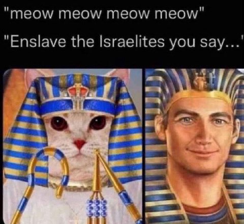 "meow meow meow meow" "Enslave the Israelites you say...' i