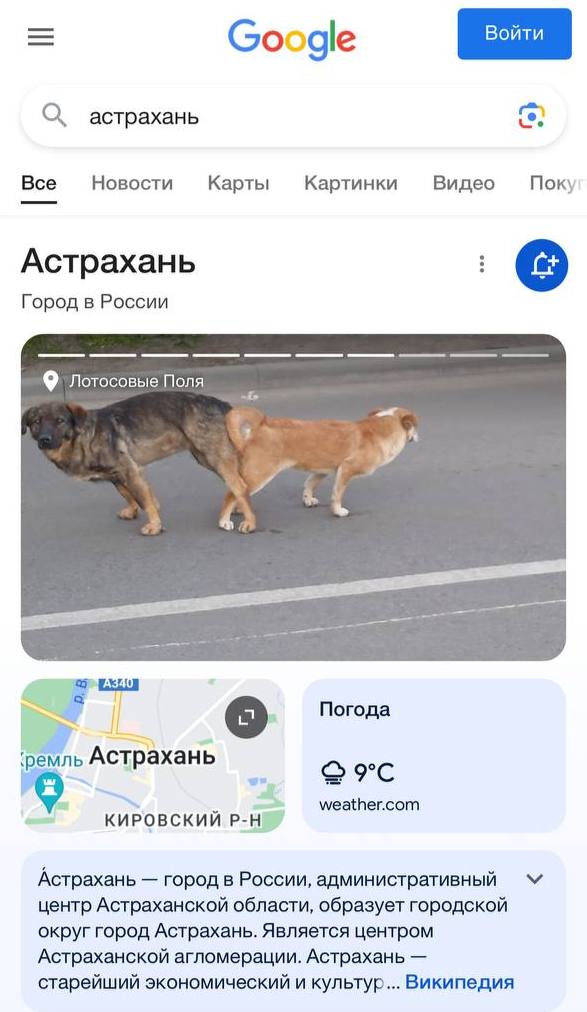 О астрахань Все Новости Карты Картинки Видео Поку Астрахань Город в России Поля 4 44 Погода ахань ‘ремль weather.com КИРОВСКИИ Астрахань город в России, административный центр Астраханской области, об