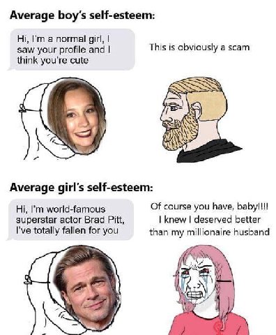 Average self-esteem: a normal girl, saw your profile and This is obviously a scam think you’re cute Я) Average girl's self-esteem: world-famous Of course you have, baby!!!! superstar actor Brad Pitt, 