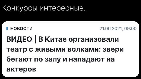 Конкурсы интересные. НОВОСТИ 21.06.2021, 09:00 ВИДЕО В Китае организовали театр с живыми волками: звери бегают по залу и нападают на актеров