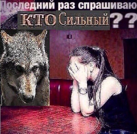 дний раз спрашиваю СИЛЬНЫ if cat 4