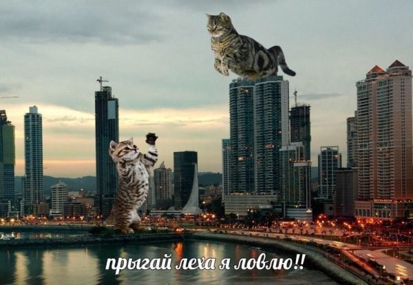 прыгай леха я лоблю!!