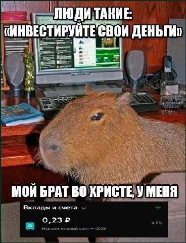 «ИНВЕСТИРУИТЕ СВОИ ДЕНЬГИ» i 4 МОИ БРАТ МЕНЯ Вклады и счета Накопительный счет 0026
