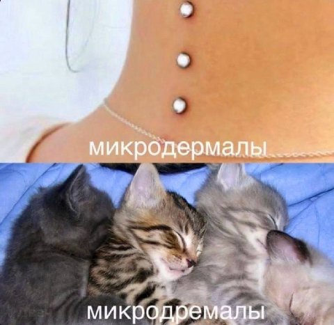 микродермалы. микродремалы