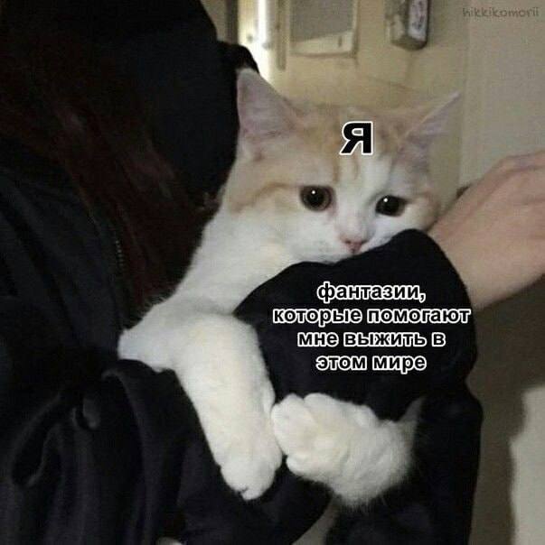 4 мире