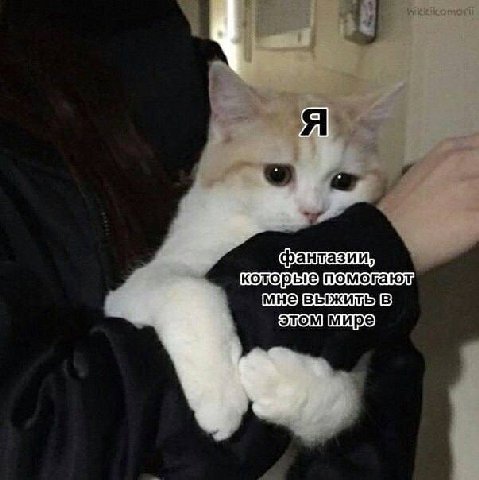 4 мире