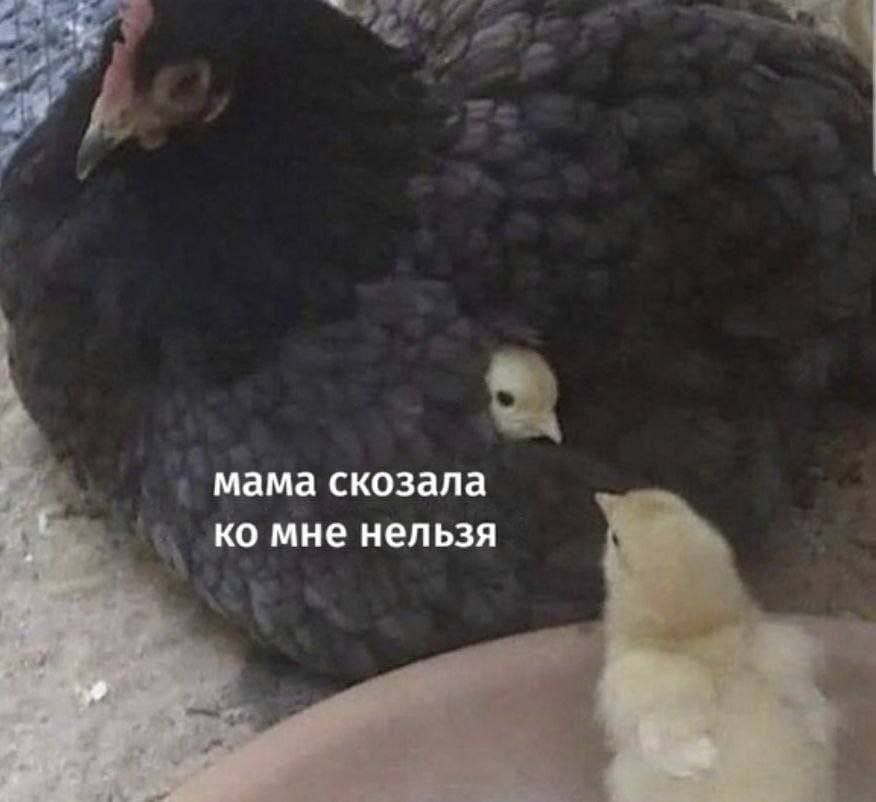 мама скозала у мне нельзя