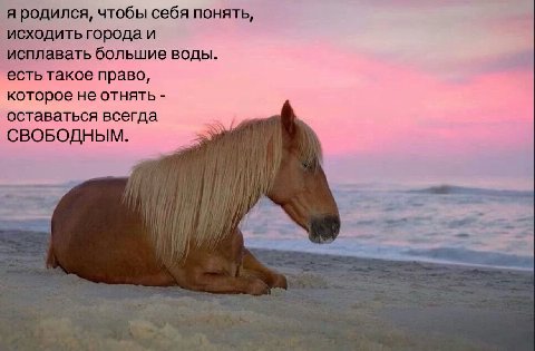я родился, чтобы себя понять, исходить города и исплавать большие воды. есть такое право, которое не отнять оставаться всегда СВОБОДНЫМ.
