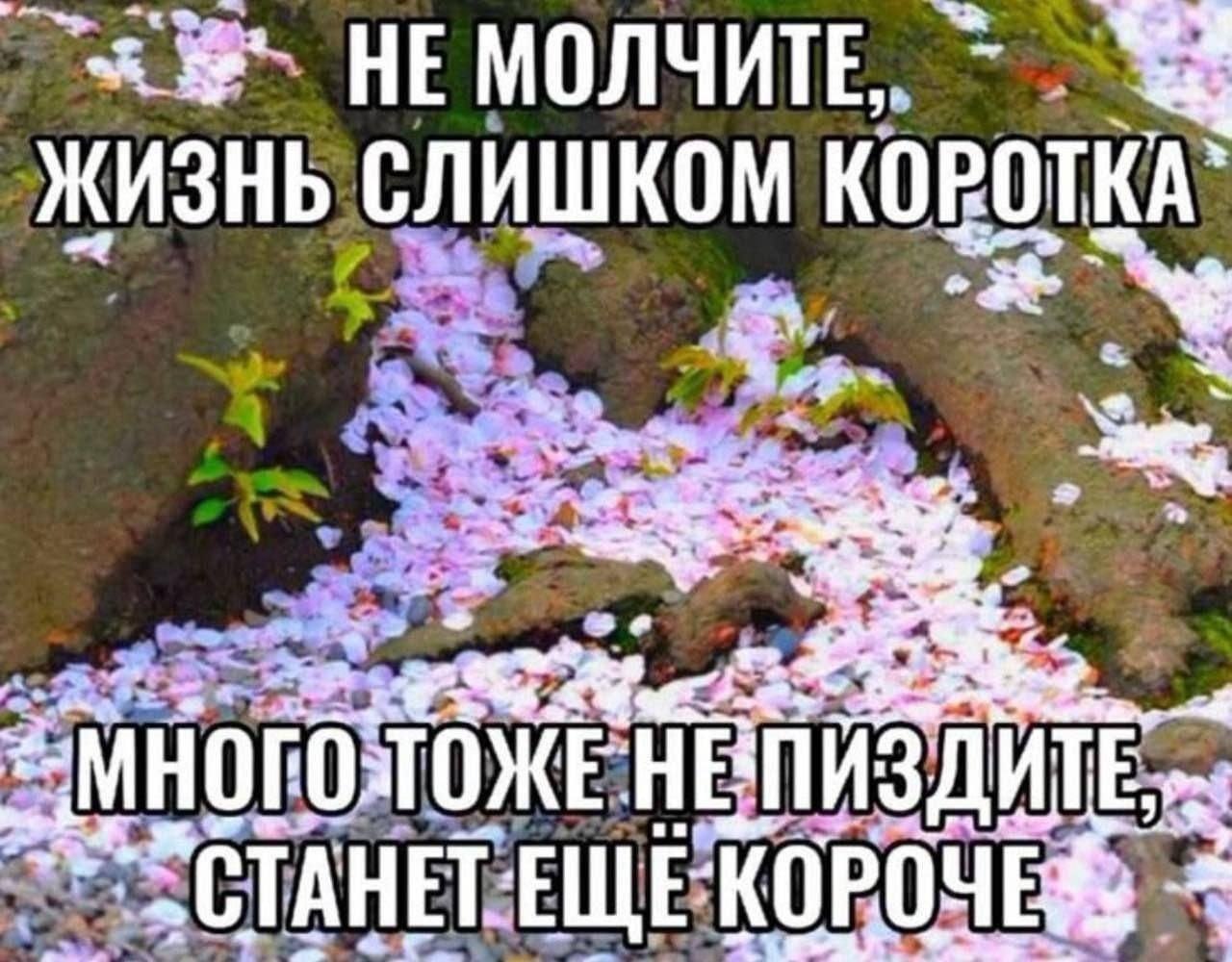 HE МОЛЧИТЕ, Слишком ИТЕ КОРОЧЕ