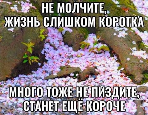 HE МОЛЧИТЕ, Слишком ИТЕ КОРОЧЕ