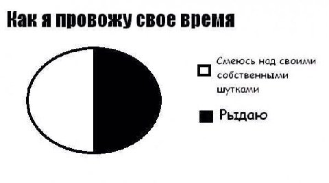Как я провожу свое время Смеюсь над своими О собственными шутками Рыдаю