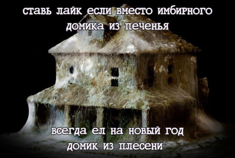 ставь лайк если вместо имбирРного домика из печенья a всегда на новый год домик из плесени