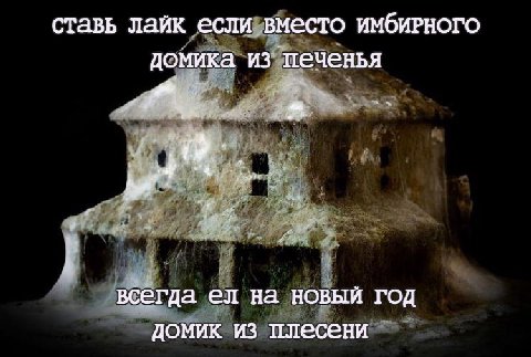ставь лайк если вместо имбирРного домика из печенья a всегда на новый год домик из плесени