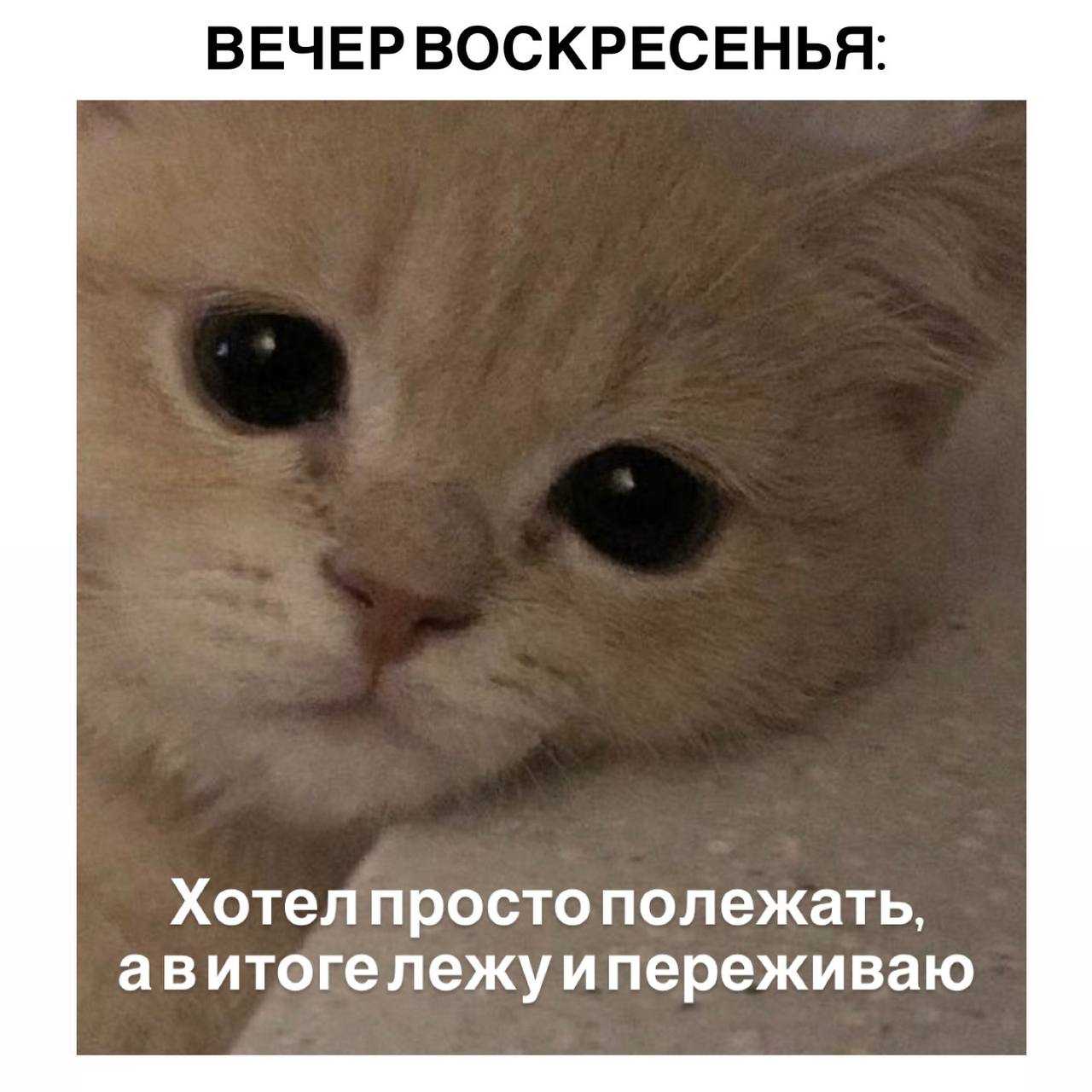 ВЕЧЕРВОСКРЕСЕНЬЯ: Хотел просто полежать, авитогележуипереживаю