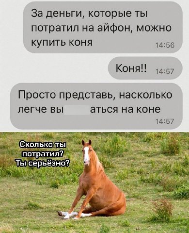 За деньги, которые ты потратил на айфон, можно купить коня 14:56 Коня! 14:57 Просто представь, насколько легче вы аться на коне 14:57 (С кольк aT a серьё Я