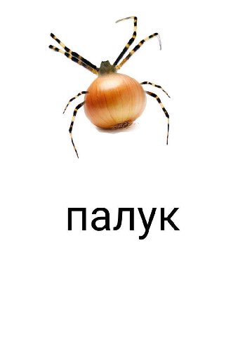 палук