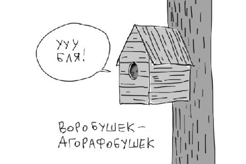 SYUWEK АГоРАФобУШЕК