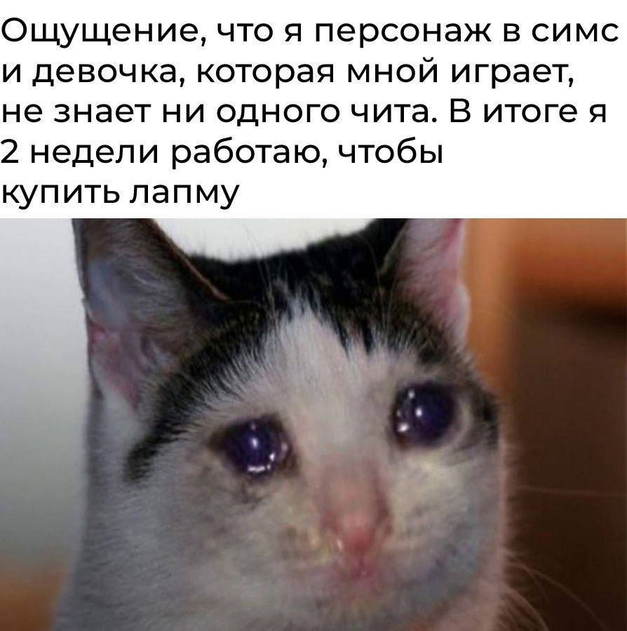 Ощущение, что я персонаж в симс и девочка, которая мной играет, не знает ни одного чита. В итоге я 2 недели работаю, чтобы купить лапму