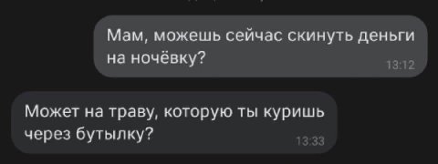Мам, можешь сейчас скинуть деньги на ночёвку? 13:12 Может на траву, которую ты куришь через бутылку?