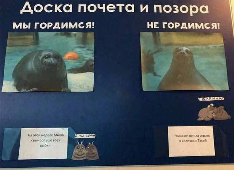 Доска почета и позора НЕ ГОРДИМСЯ! мы ГОРДИМСЯ! 4 На этой неделе Миша [А ты съел больше всех рыбки