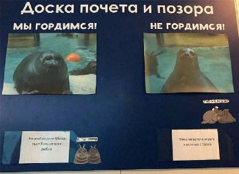 Доска почета и позора НЕ ГОРДИМСЯ! мы ГОРДИМСЯ! 4 На этой неделе Миша [А ты съел больше всех рыбки