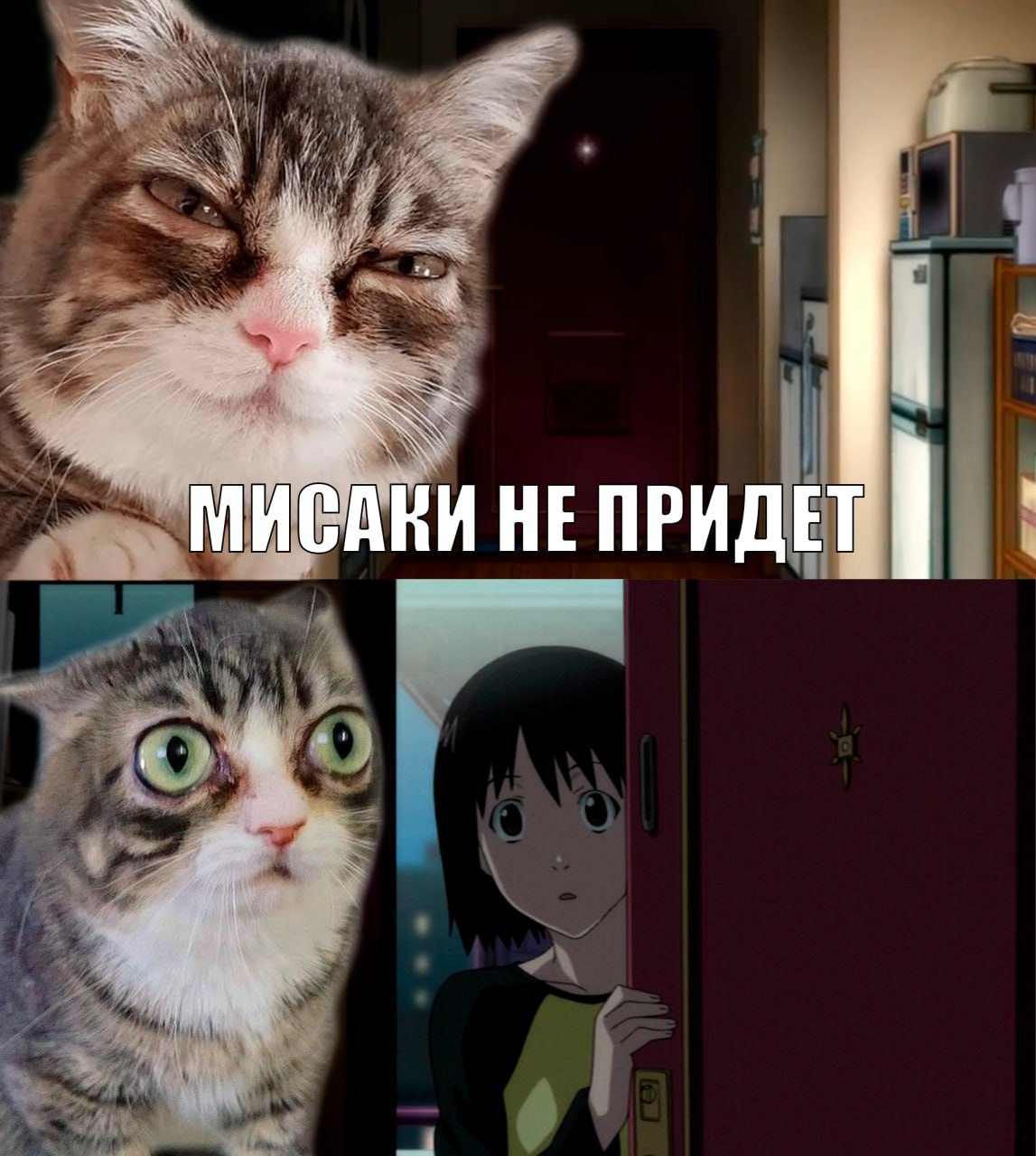 МИСАКИ