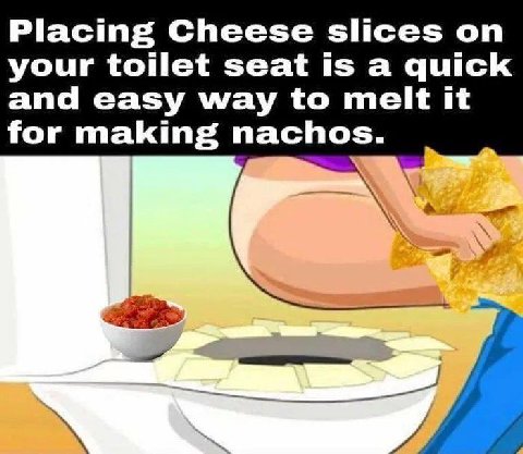 Placing Cheese slices on your toilet seat is a quick and easy way to melt it for making nachos.