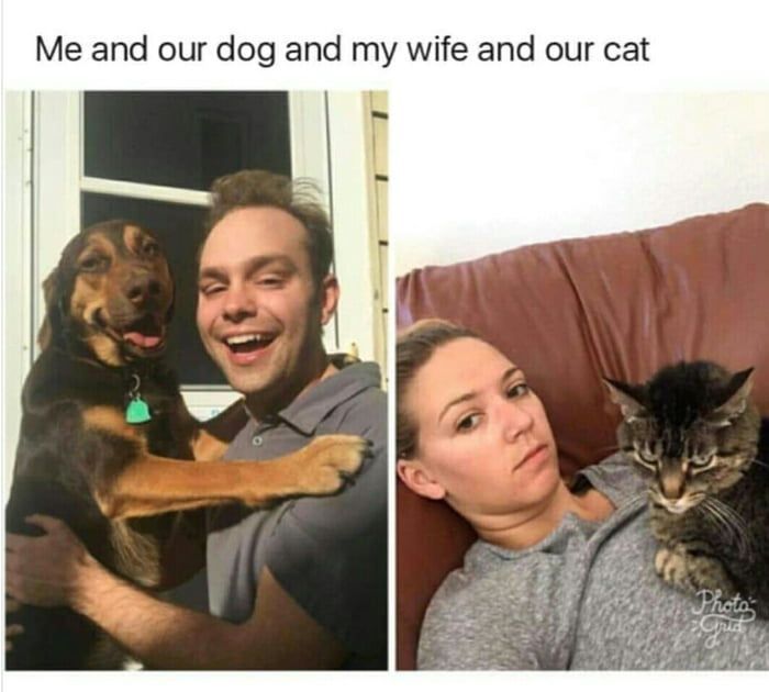 and our dog and wife and our cat А. a 2 А. 5
