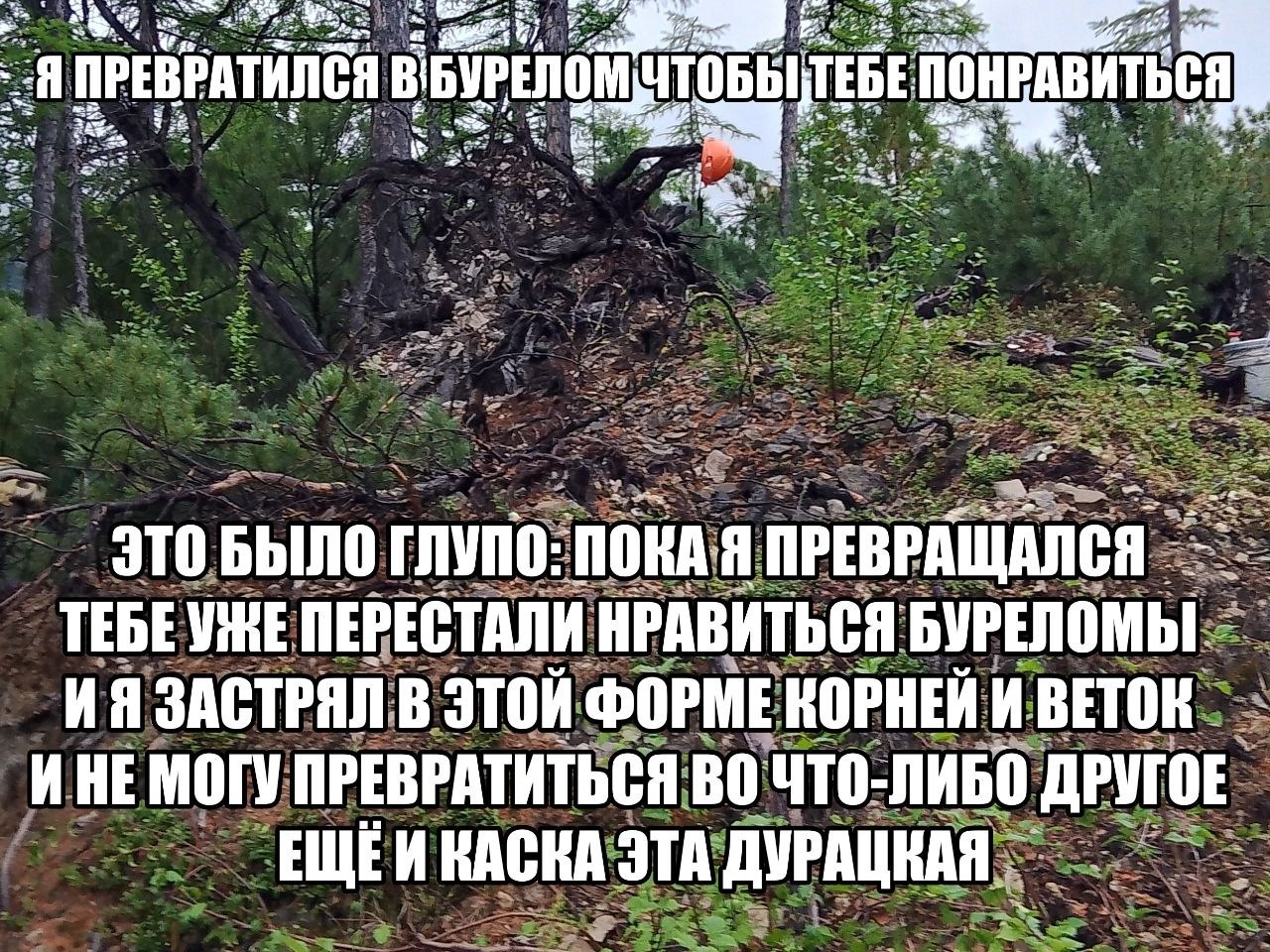 ПРЕВРАТИЛСЯ a ЭТО БЫЛО ГЛУПО: ПОКА Я ПРЕВРАЩАЛСЯ ТЕБЕУЖЕ ПЕРЕСТАЛИ НРАВИТЬСЯ БУРЕЛОМЫ ЗАСТРЯЛ В ЭТОЙ ФОРМЕ КОРНЕЙ И ВЕТОК ИНЕ МОГУ ПРЕВРАТИТЬСЯ ВО ЧТО-ЛИБО ДРУГОЕ ЕЩЁИ КАСКА ЭТА ДУРАЦКАЯ