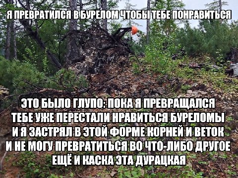 ПРЕВРАТИЛСЯ a ЭТО БЫЛО ГЛУПО: ПОКА Я ПРЕВРАЩАЛСЯ ТЕБЕУЖЕ ПЕРЕСТАЛИ НРАВИТЬСЯ БУРЕЛОМЫ ЗАСТРЯЛ В ЭТОЙ ФОРМЕ КОРНЕЙ И ВЕТОК ИНЕ МОГУ ПРЕВРАТИТЬСЯ ВО ЧТО-ЛИБО ДРУГОЕ ЕЩЁИ КАСКА ЭТА ДУРАЦКАЯ