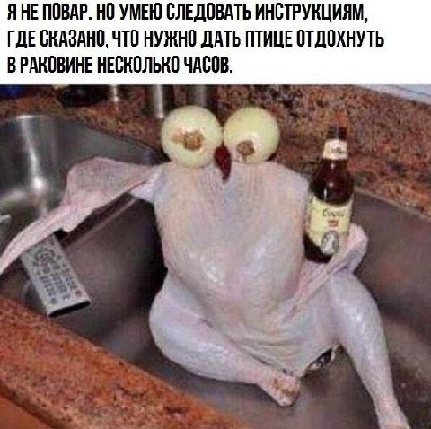 ЯНЕ ПОВАР. НО УМЕЮ СЛЕДОВАТЬ ИНСТРУКЦИЯМ, ГДЕ СКАЗАНО, ЧТО НУЖНО ДАТЬ ПТИЦЕ ОТДОХНУТЬ ВРАКОВИНЕ НЕСКОЛЬКО ЧАСОВ.