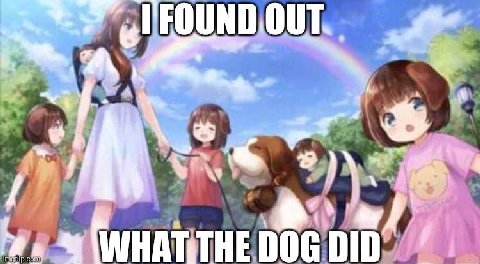 DOG DID