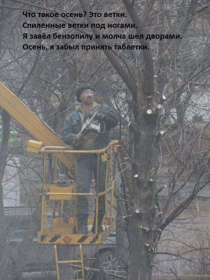 Чтатакое осень? Это завел бензопилу и молча шел забыл ‘принять табле А we 1 к 4 Mag 7 if Aga 4 А i OND 3 у 7
