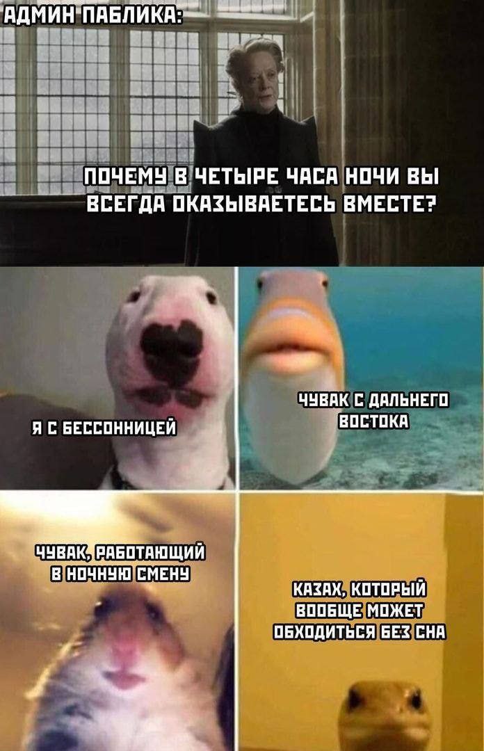 ПОЧЕМУ В ЧЕТЫРЕ ЧАСА НОЧИ ВЫ ВСЕГДА ОКАЗЫВАЕТЕСЬ ВМЕСТЕ? ЧУВАК С ДАЛЬНЕГО Я С БЕССОННИЦЕЙ ВОСТОКА ЧУВАКУРАБОТАЮЩИЙ В НОЧНУЮ СМЕНУ КАЗАХ, КОТОРЫЙ ВООБЩЕ МОЖЕТ ОБХОДИТЬСЯ БЕЗ CHA