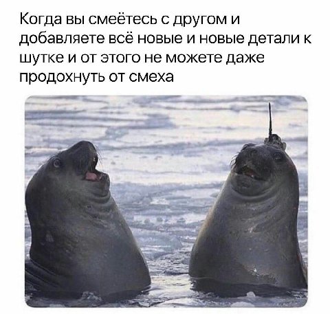 Когда вы смеётесь с другом и добавляете всё новые и новые детали к шутке и от этого не можете даже продохнуть от смеха 5 4