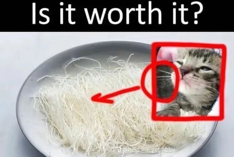 Is it worth it?
