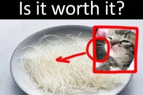 Is it worth it?