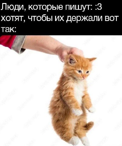 Люди, которые пишут: :3 хотят, чтобы держали вот 4