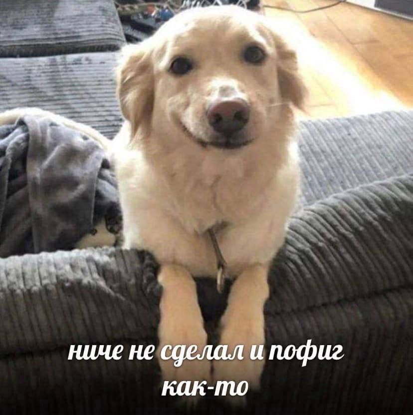 a ниче не сделал ипофиг как-то